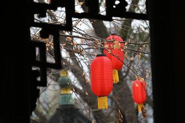 祁醉于炀肉车过程详细（祁醉于炀肉车85章）